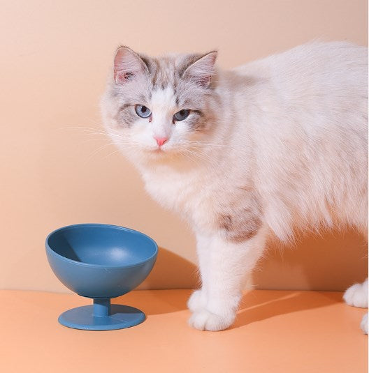 Wholesale Tall Pet Food Bowls Cat Water Basin Anti-tip Protection Food Bowls 