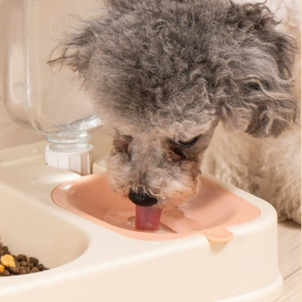 Dog Bowl Double Bowl Automatic Drinking Cat Basin Water Bowl Stainless Steel Dog Bowl Cat Supplies 