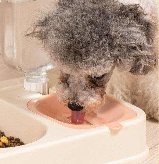 Dog Bowl Double Bowl Automatic Drinking Cat Basin Water Bowl Stainless Steel Dog Bowl Cat Supplies 