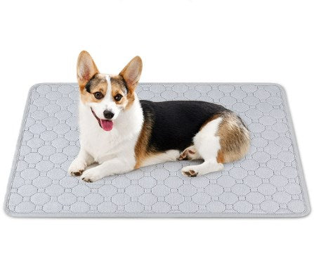 Washable and Reusable Pet Diaper Training Dog Absorbent Diaper Pad 