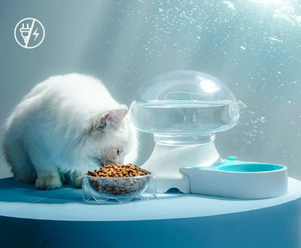 Wholesale Pet Drinking Water Feeder 2-in-1 Automatic Water Dispenser 