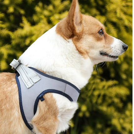 Dog Leash Small Dog Harness Dog Leash Vest Style Teddy Dog Leash Bichon Dog Walking Rope Dog Leash 