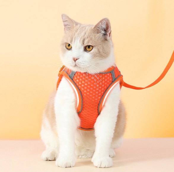 Wholesale Large Mesh Pet Harness Vest Style Dog Leash Reflective Breathable Dog Leash