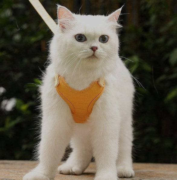 Cat Traction Rope To Prevent Break-away and Go Out Special Cat Walking Rope Vest Type Cat Chain