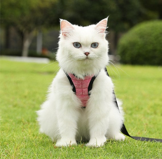 Wholesale Pet Dog Leash Kitten Reflective Vest Type Harness Dog Walking Leash 