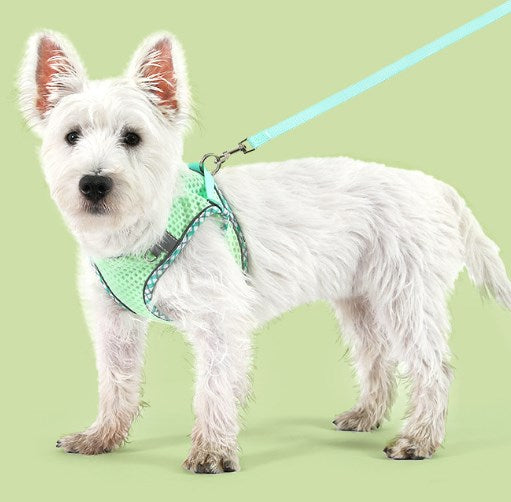 Wholesale Pet Leash Dog Harness Cat Harness Vest-style Rope for Small and Medium-sized Dogs 