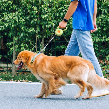Wholesale Automatic Telescopic Dog Walking 3m Dog Leash Controllable Pet Leash 