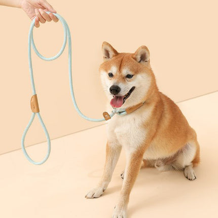 Pet Dog Leash, Medium and Large Dog Safety Buckle, Dog Leash Collar, Dog Walking P Chain