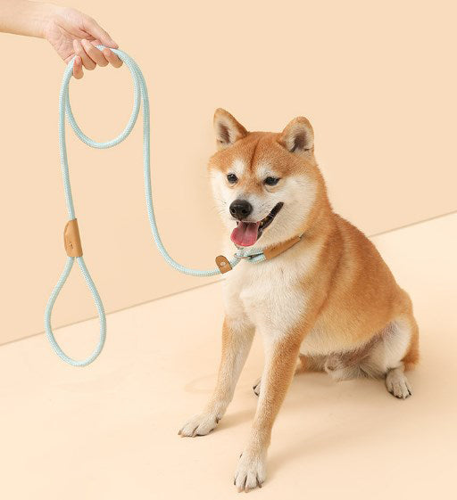 Pet Dog Leash, Medium and Large Dog Safety Buckle, Dog Leash Collar, Dog Walking P Chain