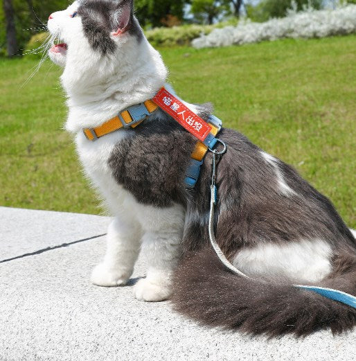 Wholesale Cat Leash, Cat Walking Leash, Anti-breakaway, Adjustable Pet Leash 