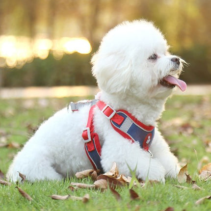 Pet Supplies Dog Leash Harness Set Wholesale Suede Reflective Dog Walking Rope