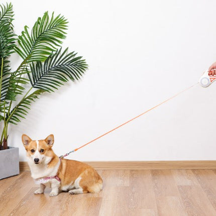 LED Luminous Dog Leash Pet Automatic Leash Telescopic Dog Leash Dog Leash Dog Supplies Rope