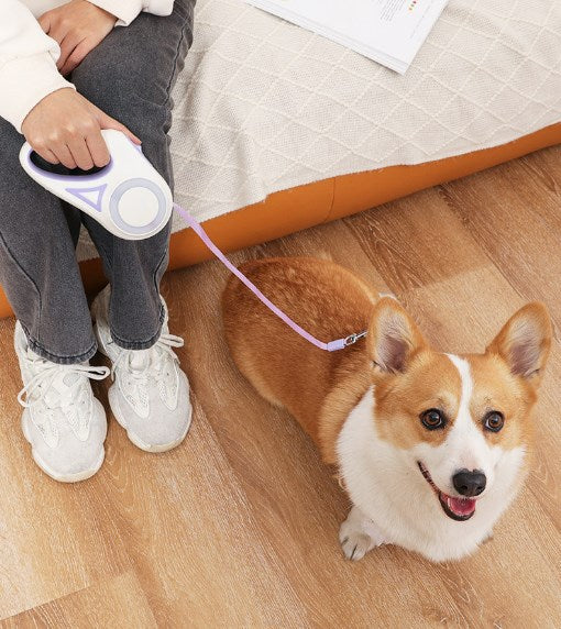 LED Luminous Dog Leash Pet Automatic Leash Telescopic Dog Leash Dog Leash Dog Supplies Rope