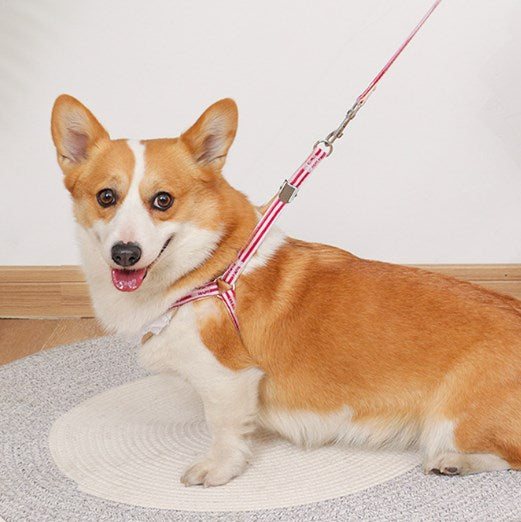 Wholesale Pet Dog Leash Harness Cat Leash Small Dog Leash Dog Leash Supplies