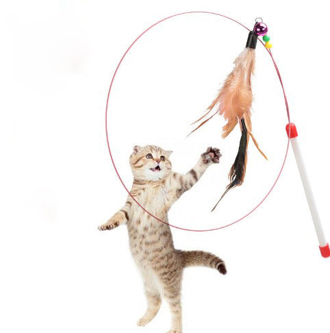 Wholesale Pet Supplies Wire Feathers Cat Toys Cat Toys 