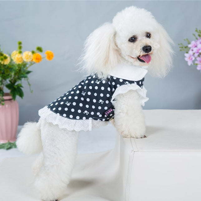 Wholesale Teddy Skirt Spring Summer Thin Dog Summer Clothes Pet Dress