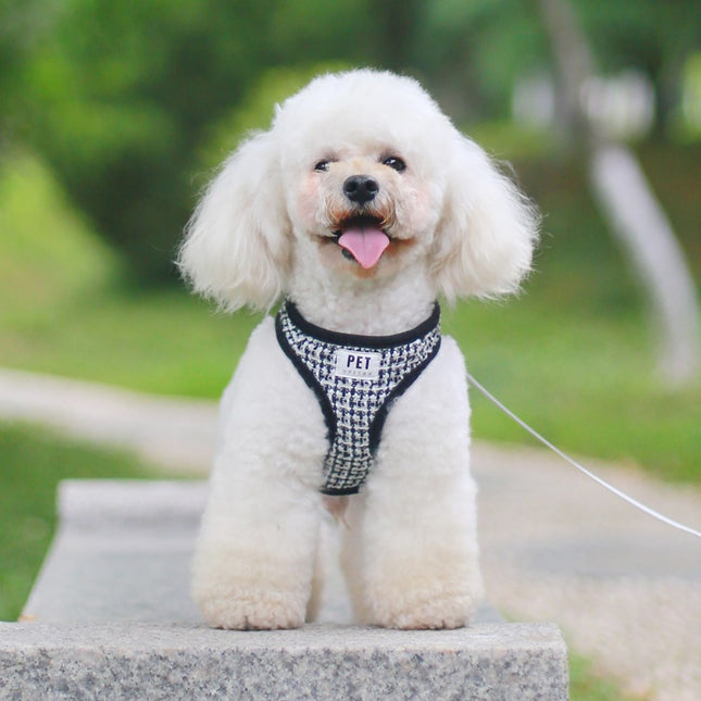Pet Leash Cat and Dog Harness Vest Style Breathable Dog Walking Rope Set Pet Supplies