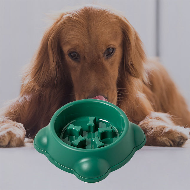 Wholesale Pet Bowl Pet Supplies Dog Cat Bowl Tableware Plastic Basin Feeder
