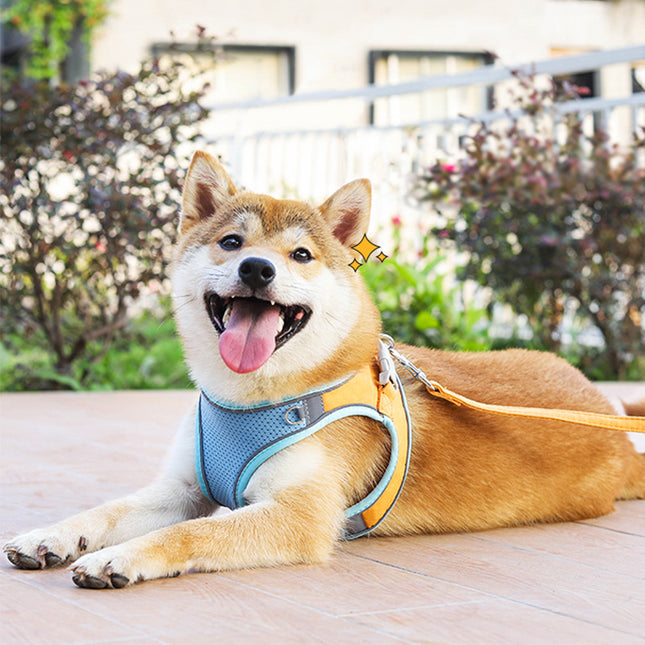Wholesale Suede Reflective Pet Harness Set Vest Style Dog Leash