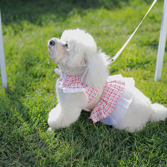 Pet Harness Cute Cat and Dog Vest Polyester Anti-shedding Teddy Bichon Leash