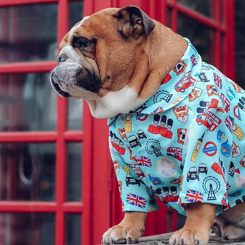 Wholesale Pet Spring Clothes Dog Printed Shirt Teddy Small /Medium Dog Beach Wear