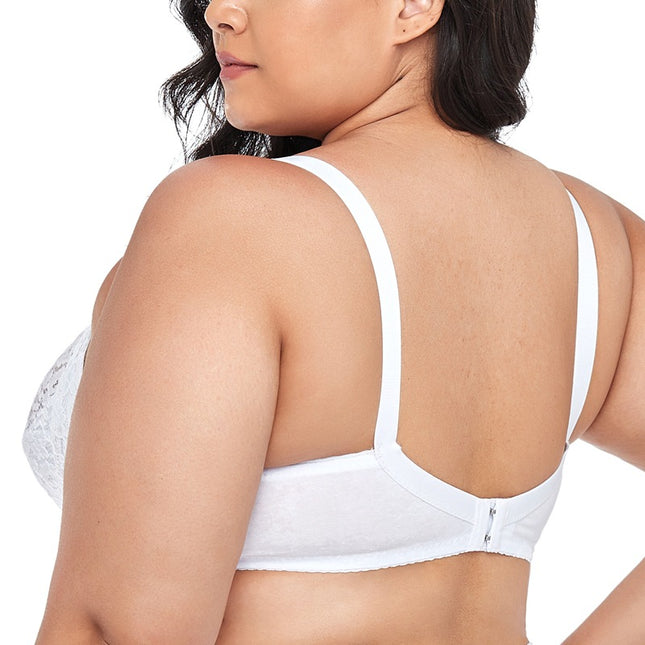 Wholesale Women's Plus Size Cotton Bra with Lace Push-up Bra