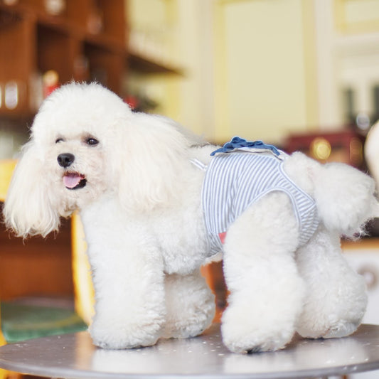 Dog Menstrual Shorts Female Dog Corgi Teddy Small Dog Underwear Auntie Pants Pet Carrier Menstrual Shorts 