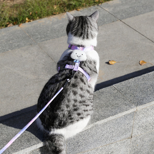 Wholesale Cat Leash Anti-breakaway Cat Walking Rope Pet Leash Cat Supplies