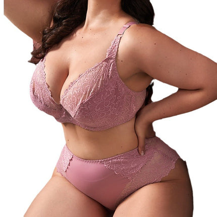 Wholesale Women's Spring Summer Plus Size Sexy Lace Bra Briefs Set