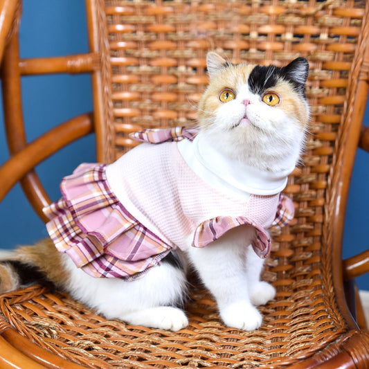 Puppy Spring Summer Thin Check Dress Kitten Ragdoll Blue Cat Pet Dress