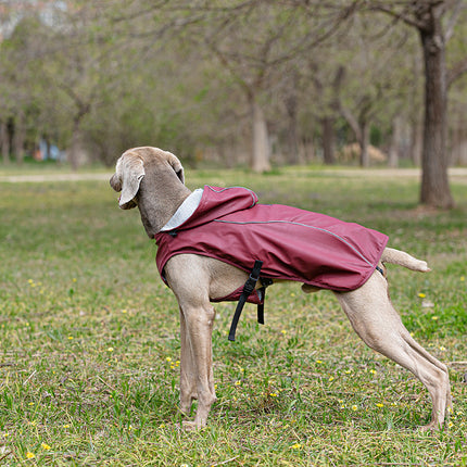 Medium and Large Portable Universal Dog Poncho Hooded Reflective Pet Raincoat