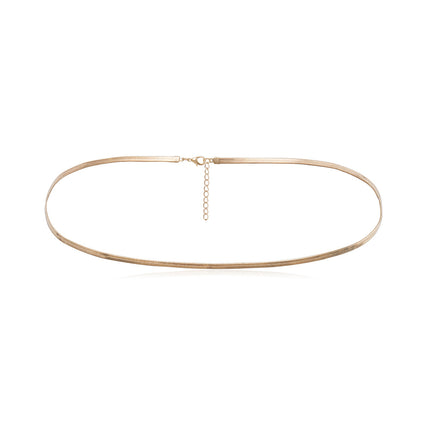 Wholesale Fashion Simple Single Snake Bone Chain Waist Chain
