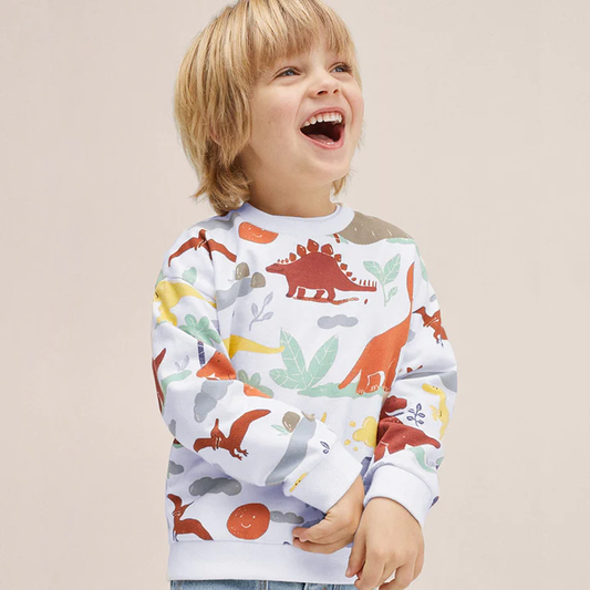 Wholesale Boys Autumn Long Sleeve Cotton Dinosaur Hoodies for Children