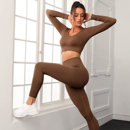 Wholesale Women's Yoga Seamless Long Sleeve Top Leggings Sports Two-piece Set