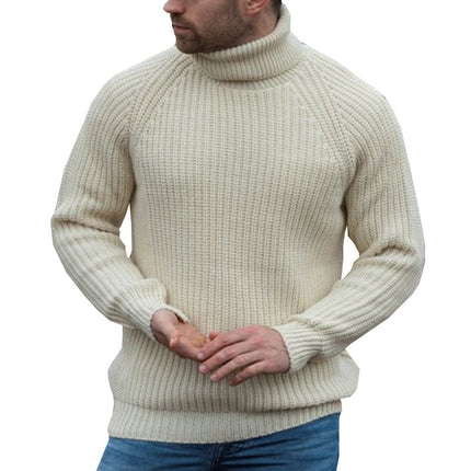 Men's Fall/Winter Long Sleeve Pullovers Turtleneck Sweaters
