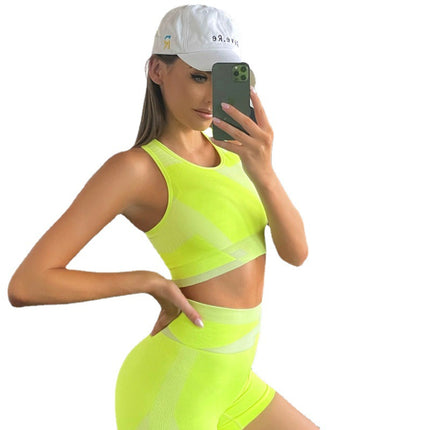 Wholesale Women's Seamless Moisture Wicking Sports Yoga Fitness Vest Shorts Two Piece Set
