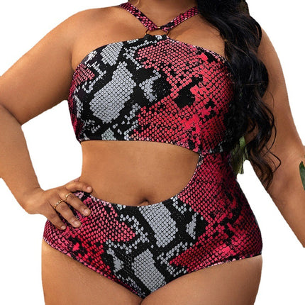 Wholesale Women's Plus Size Bikini Halter Neck Padded One-Piece Swimsuit